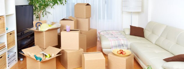 Domestic Relocation